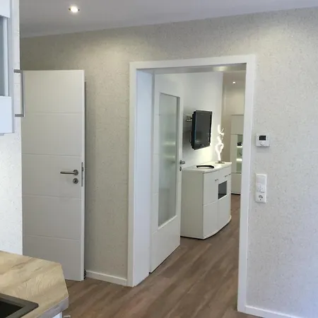Rotbuche 5 * Norden